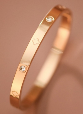 Gina Stainless Steel Plated Bangle