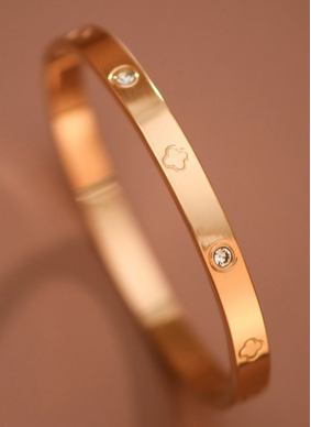 Gina Stainless Steel Plated Bangle