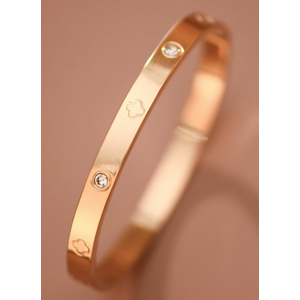 Gina Stainless Steel Plated Bangle