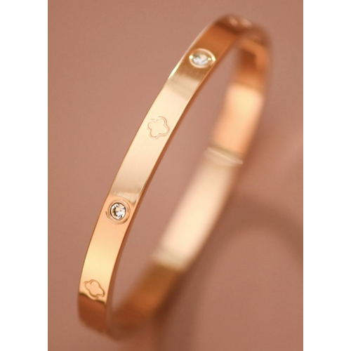 Gina Stainless Steel Plated Bangle