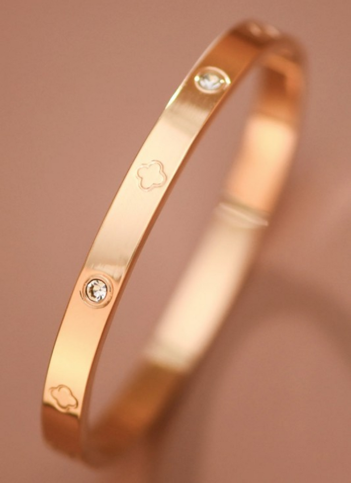 Gina Stainless Steel Plated Bangle