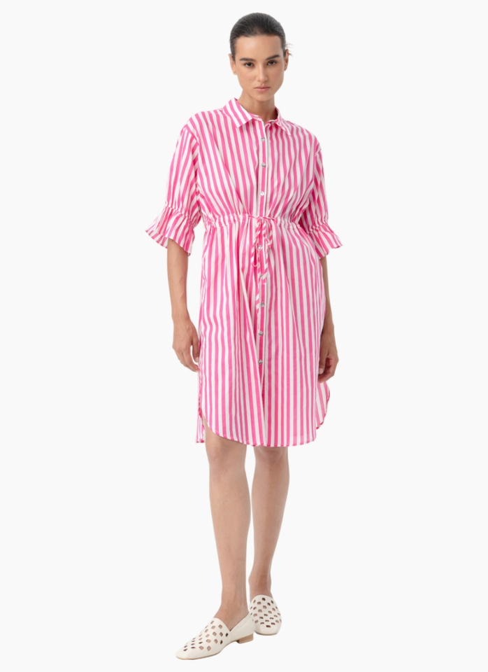 Blacklist 3058 Vena Shirt Dress - Pink Stripe