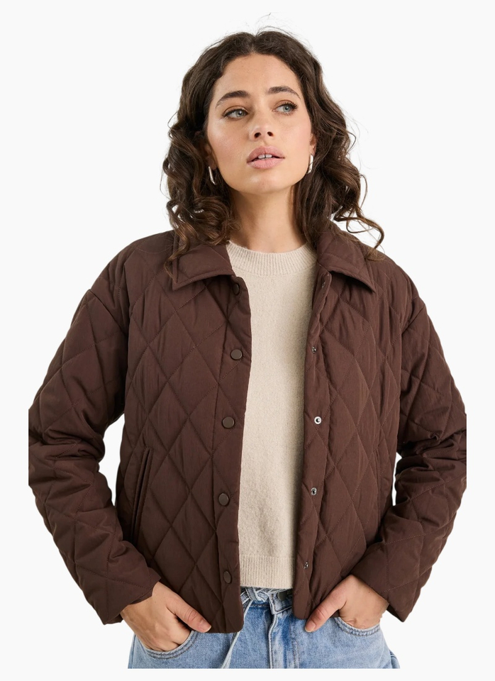 Among The Brave Absolute Chocolate Collared Quilted Jacket