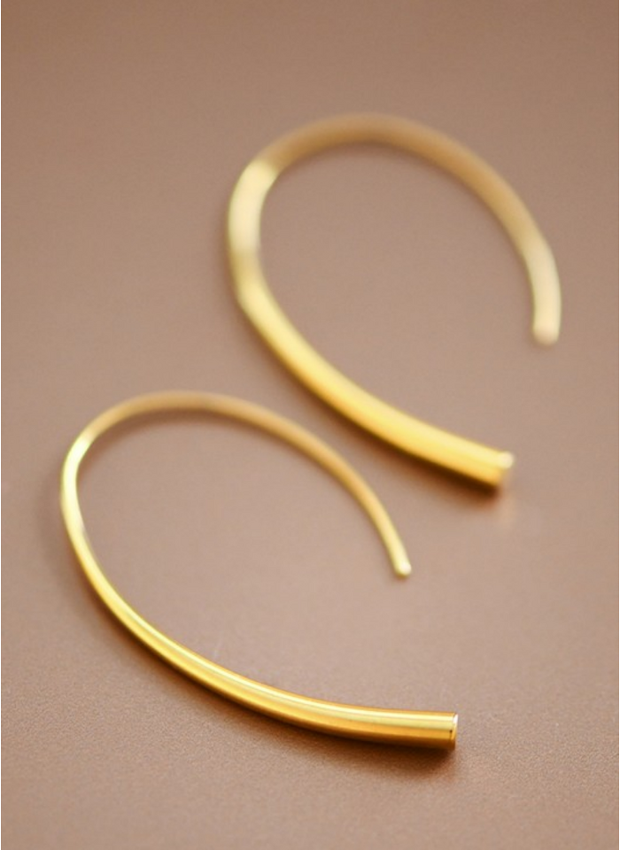 Gold Plated Stainless Steel Hoop Earrings