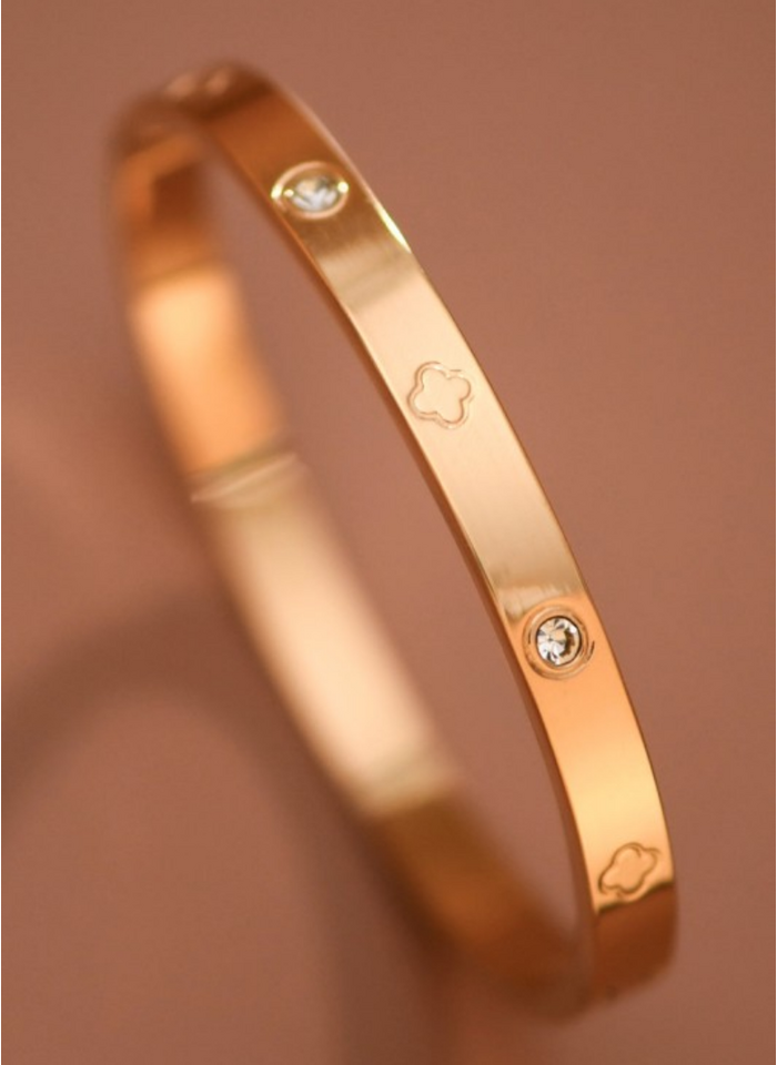 Gina Stainless Steel Plated Bangle