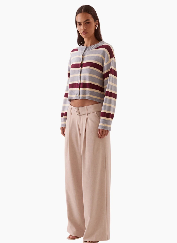 SOVERE Arlo Stripe Cardigan - Blue / Plum