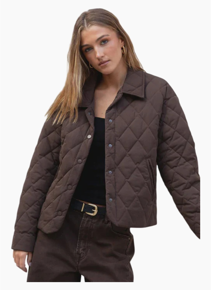 Among The Brave Absolute Chocolate Collared Quilted Jacket